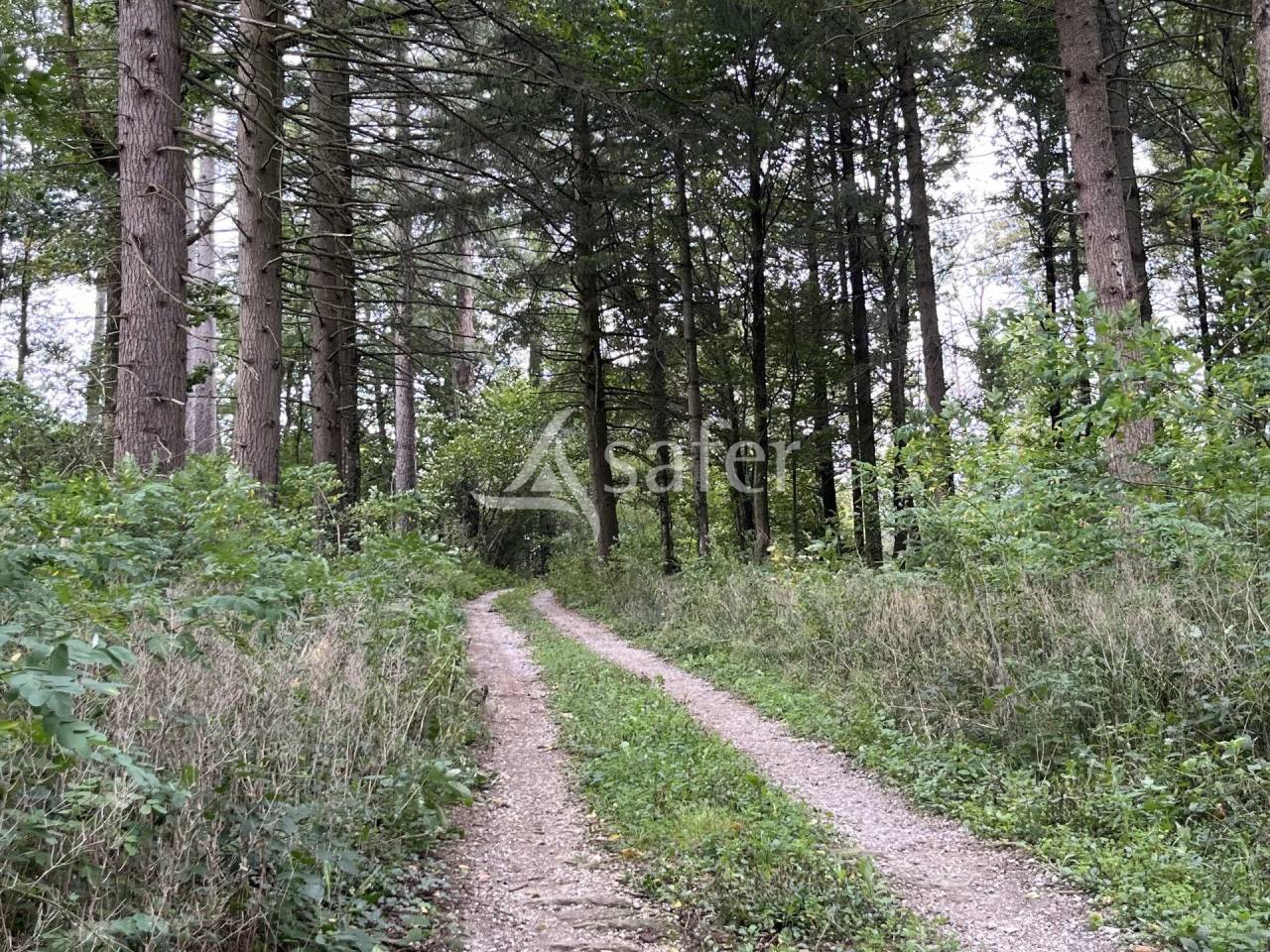 Other country property  tarn