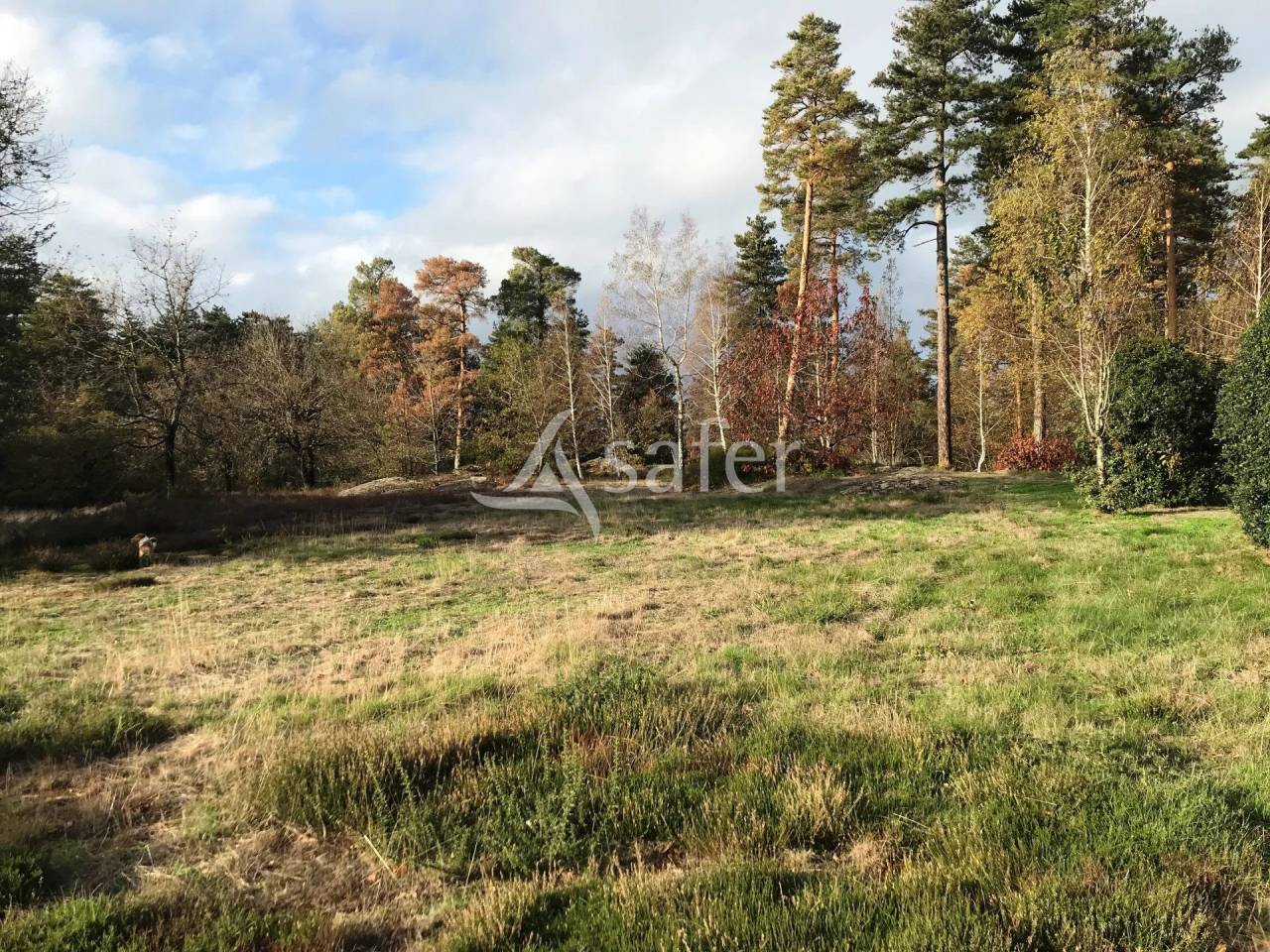 Other country property  tarn