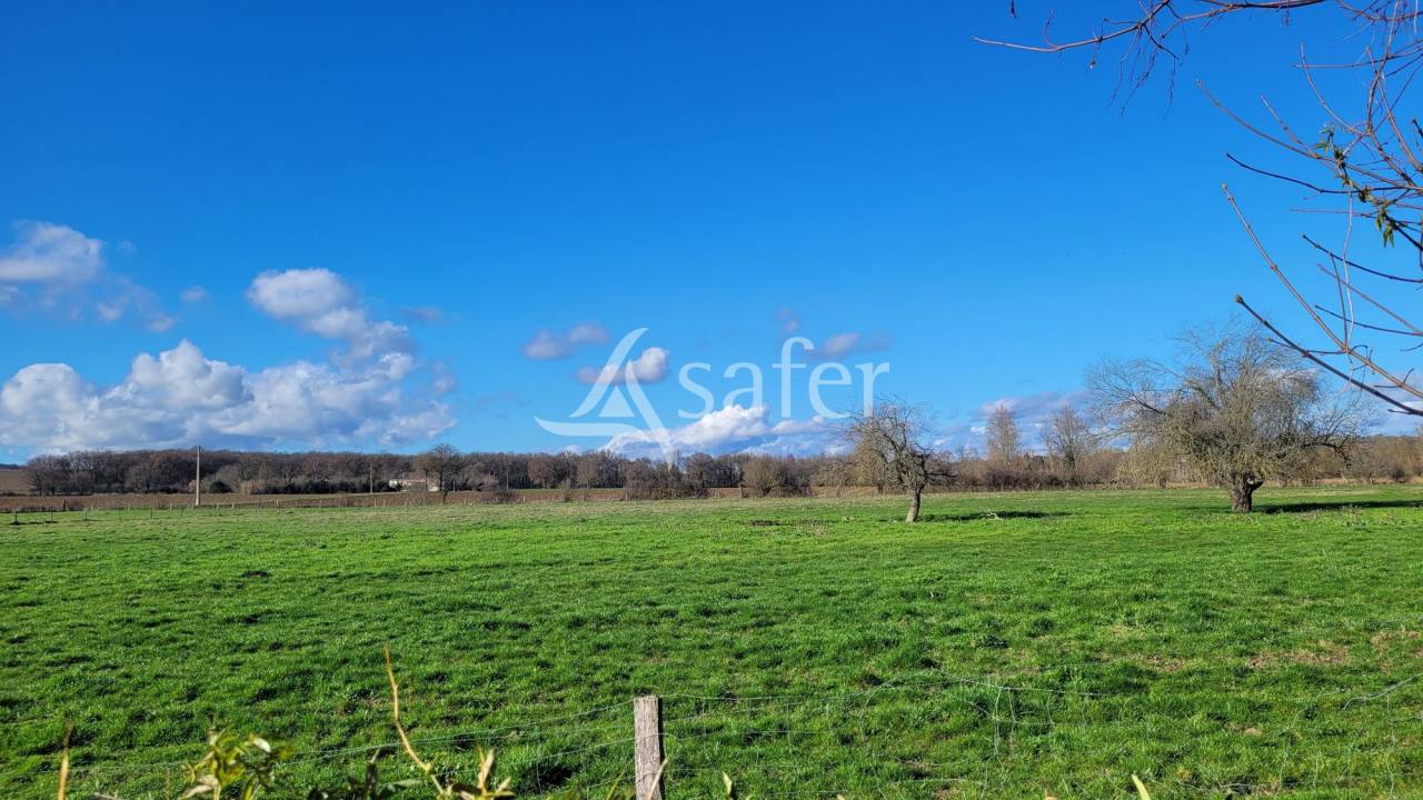 Other country property  tarn