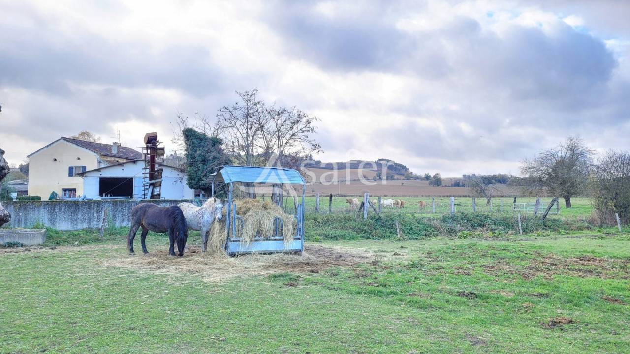 Other country property  tarn