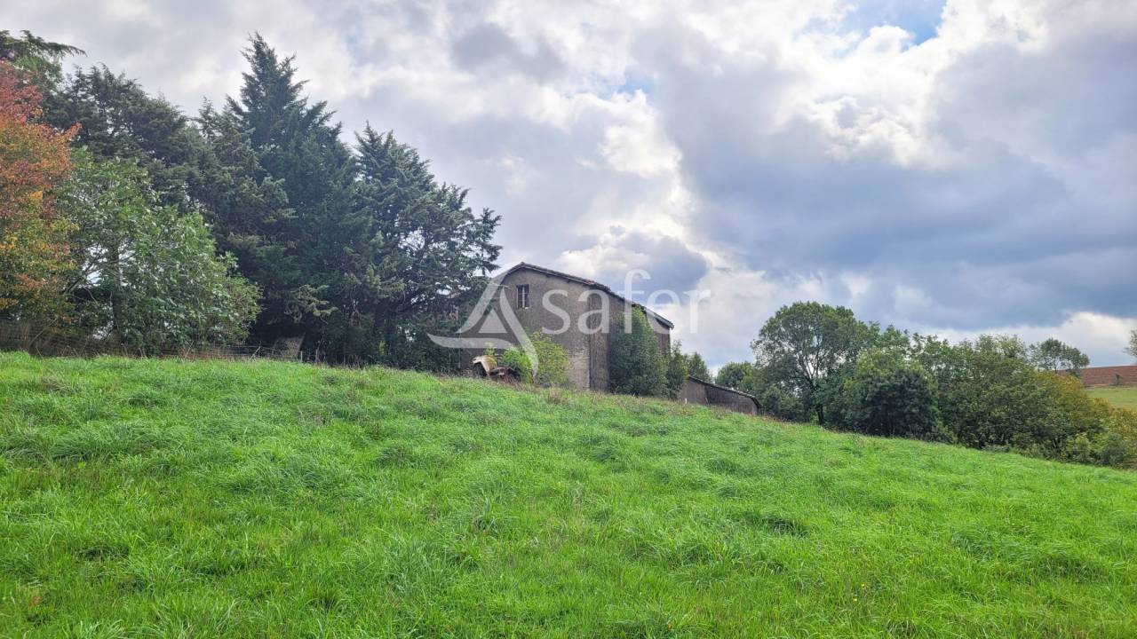 Other country property  tarn