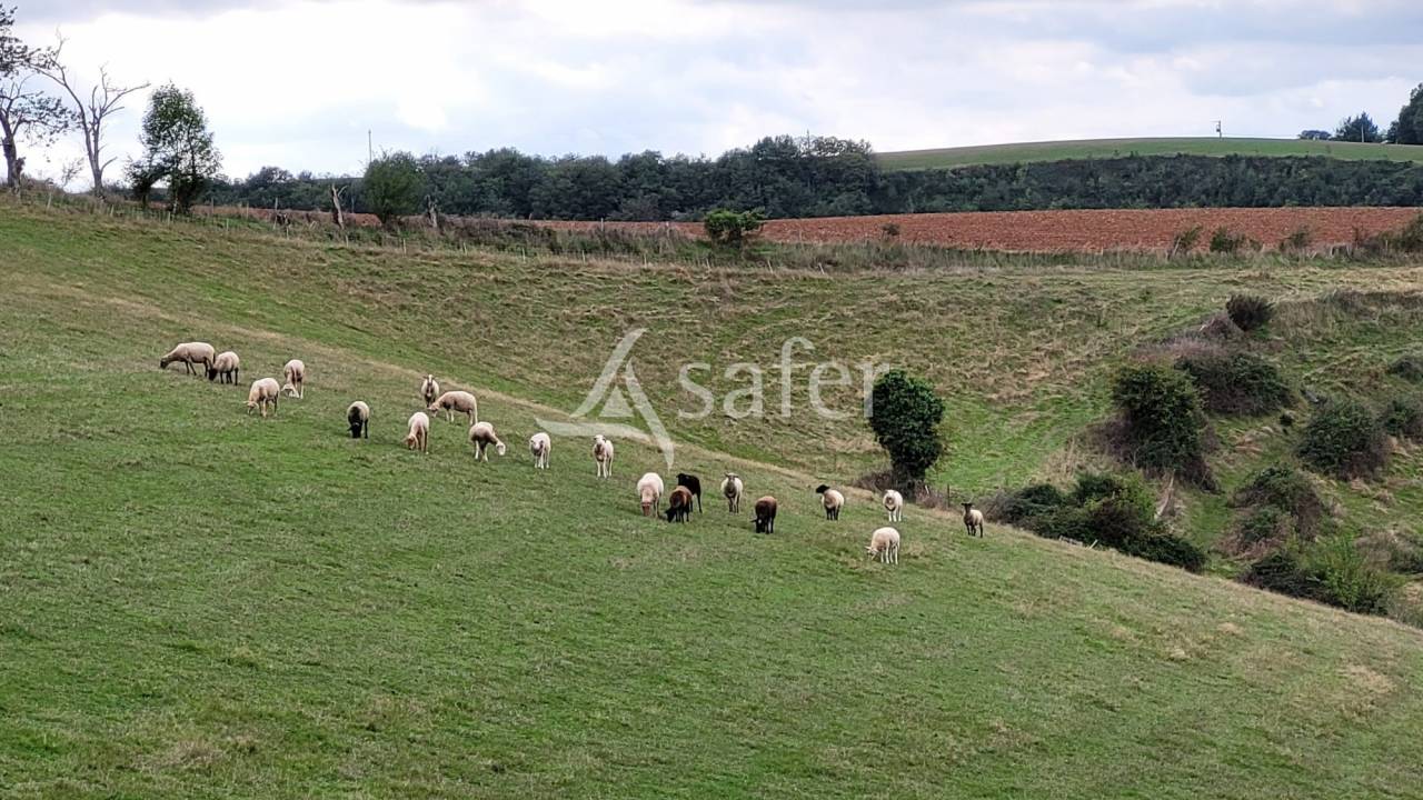 Other country property  tarn