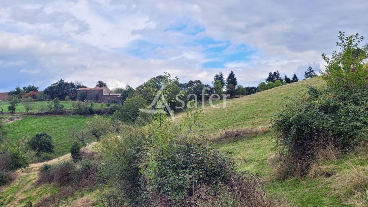 Other country property  tarn