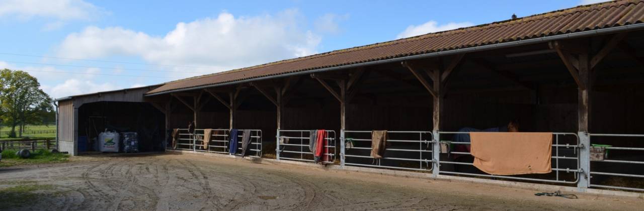 Stud farm  Orne