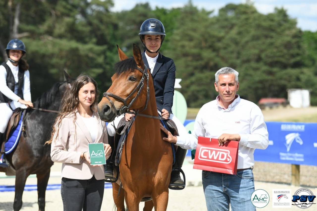 Mare French Saddle Pony For loan 2007 Bay