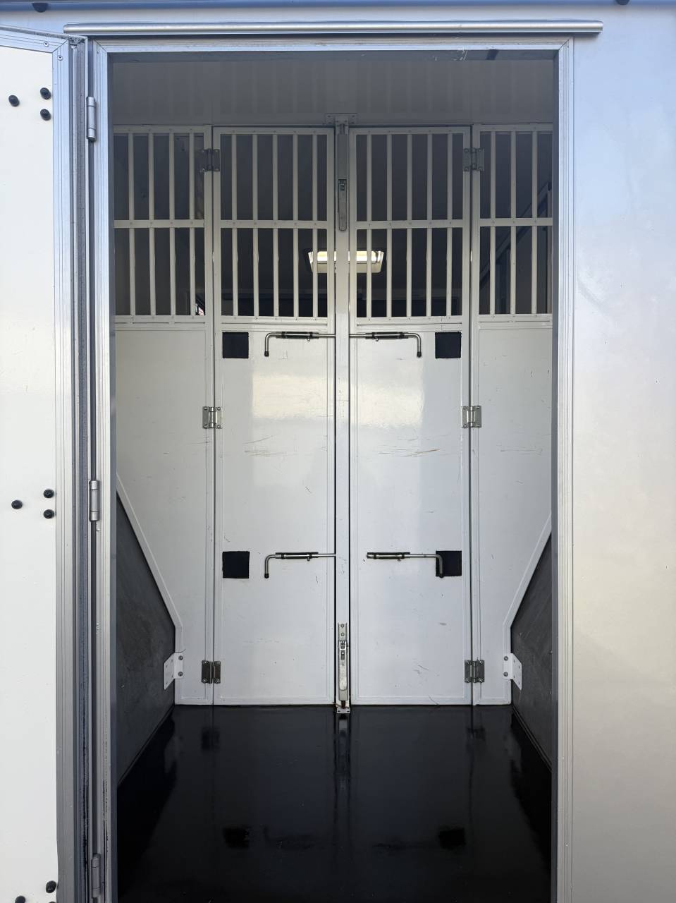 Horsebox HGV Renault LESLY HORSE 2018 Used