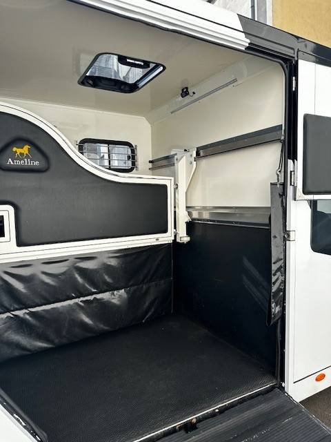 Horsebox HGV Renault  2020 Used