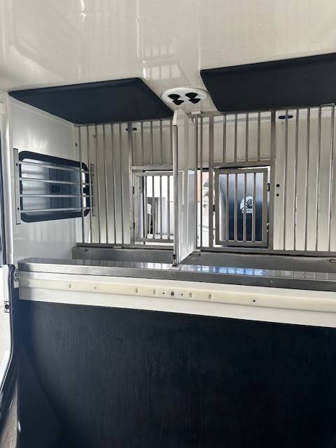 Horsebox HGV Renault  2020 Used