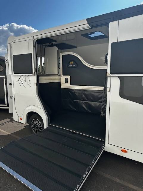 Horsebox HGV Renault  2020 Used
