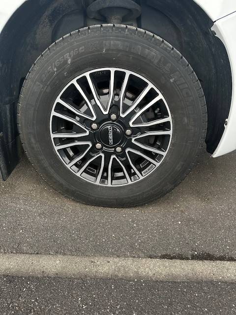 Horsebox HGV Renault  2020 Used