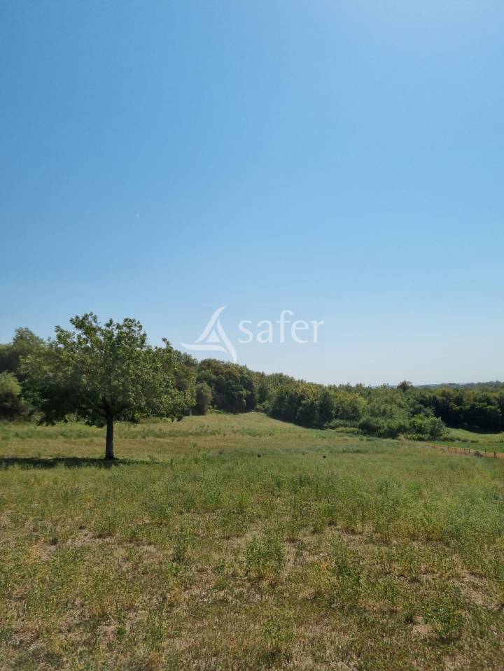 Other agricultural property  Lot
