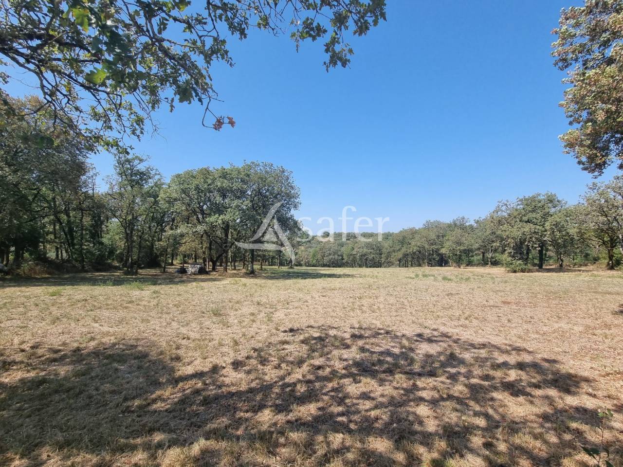 Other agricultural property  Lot