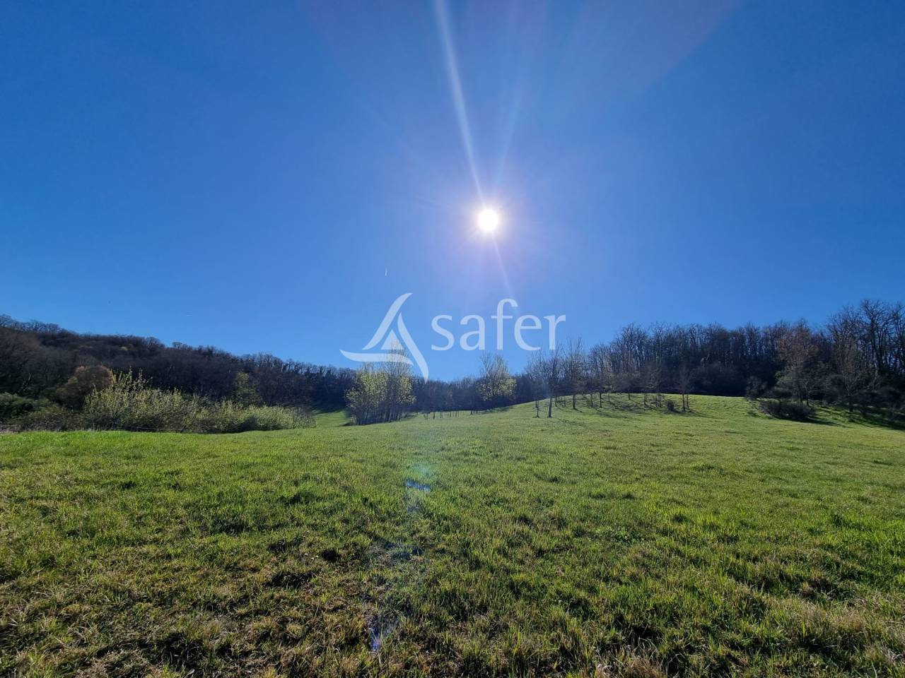 Other country property  Lot