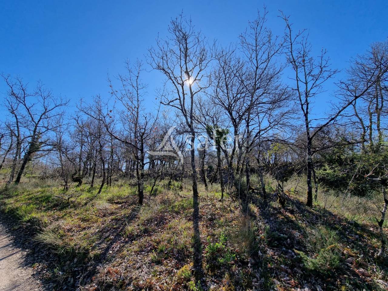 Other country property  Lot