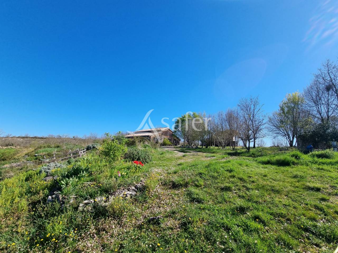 Other country property  Lot