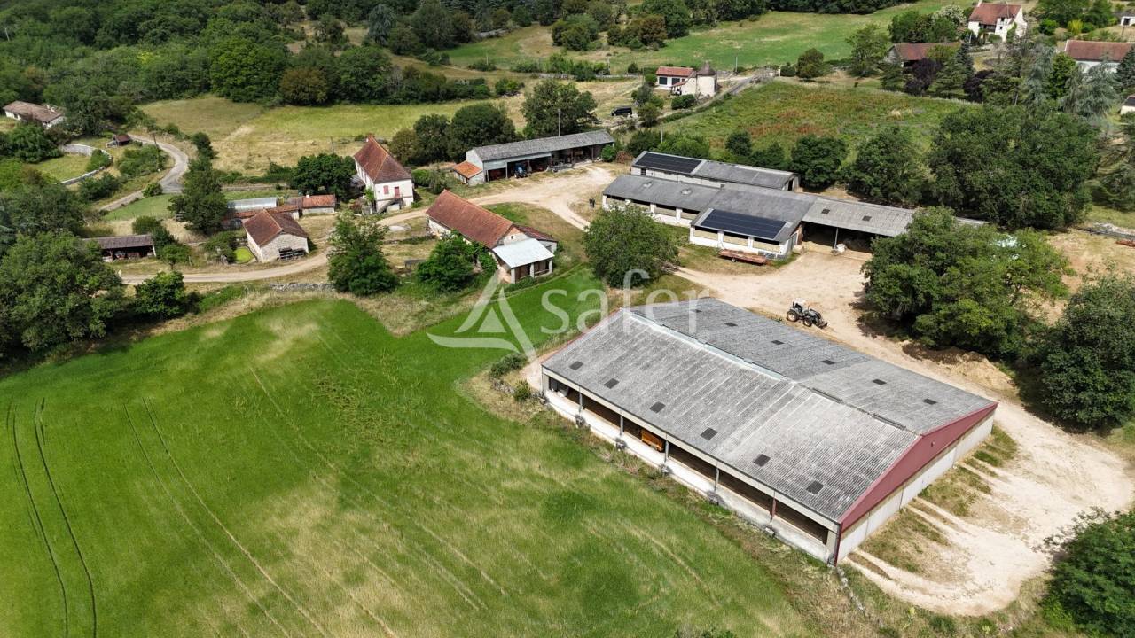 Sheep farm  Lot