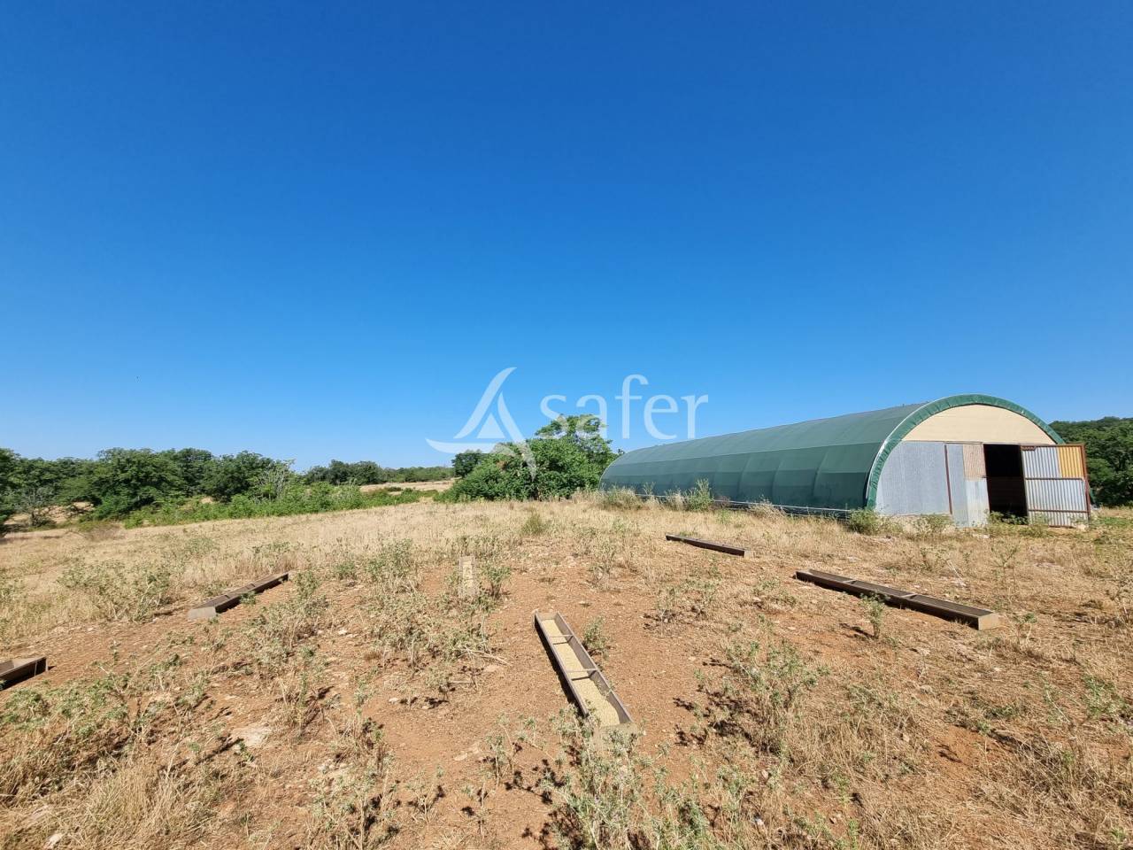 Sheep farm  Lot