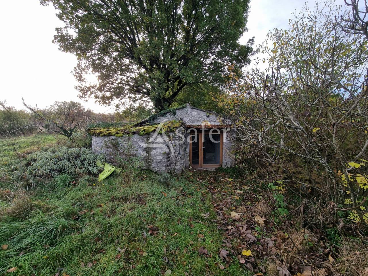 Other agricultural property  Lot