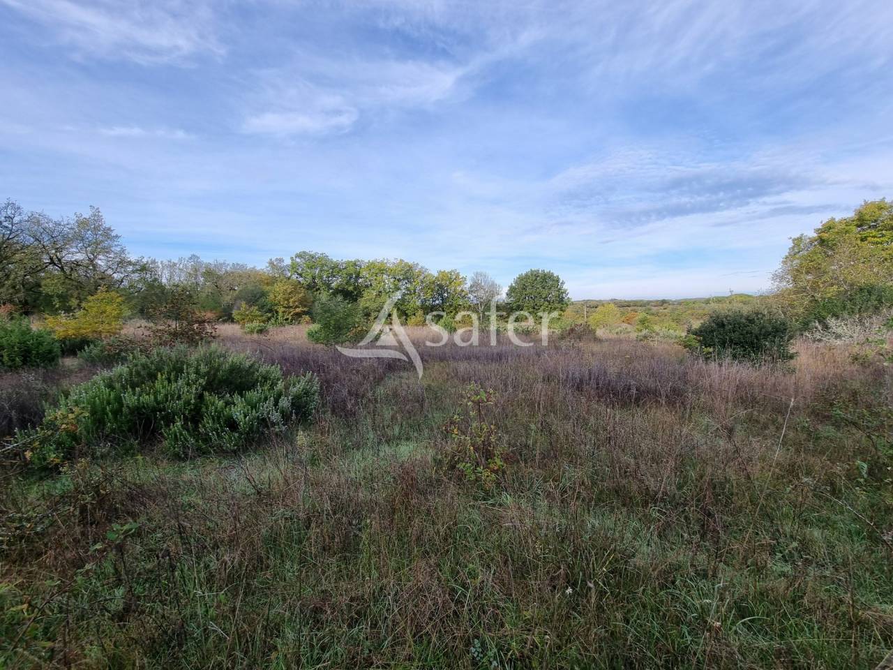 Other agricultural property  Lot