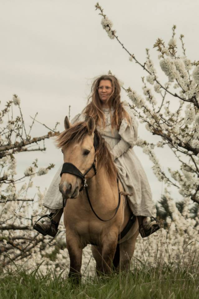 Hondo - Sorraia, Spanish Tarpan 2017