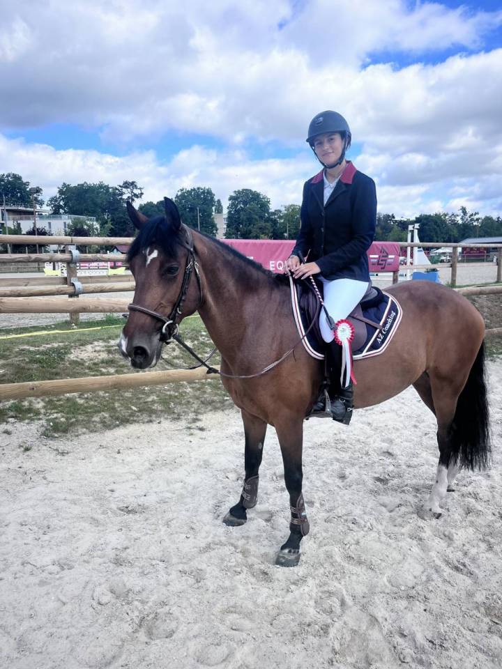 Mare French Saddle Pony Part-Livery 2013 Bay