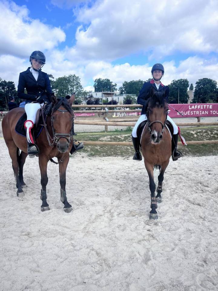 Mare French Saddle Pony Part-Livery 2013 Bay