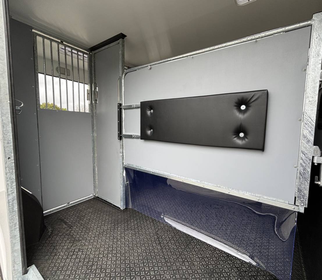 Horsebox HGV AP Petit Interstar 2 places stalle  2025 New