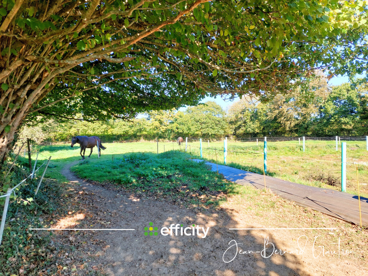 Equestrian property  C&ocirc;te d'Armor