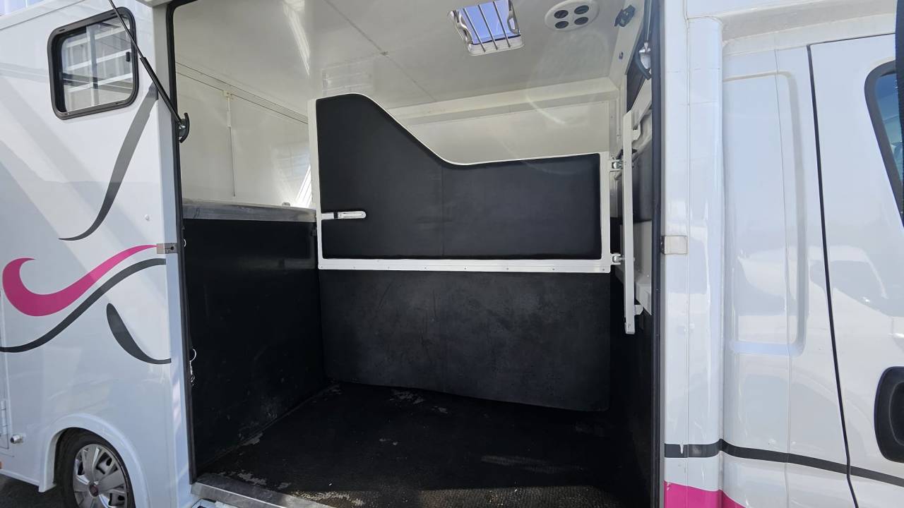 Horsebox HGV Fiat  Ducato 2,2 Diesel  180 chevaux 2023 Used