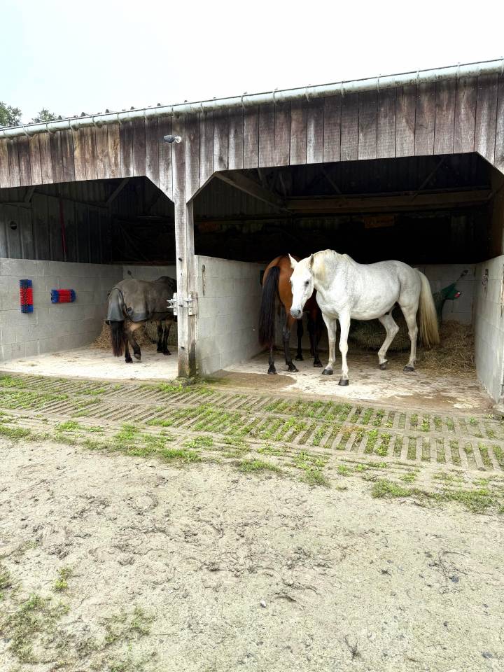 Luxurious equestrian property  Ile-et-Vilaine