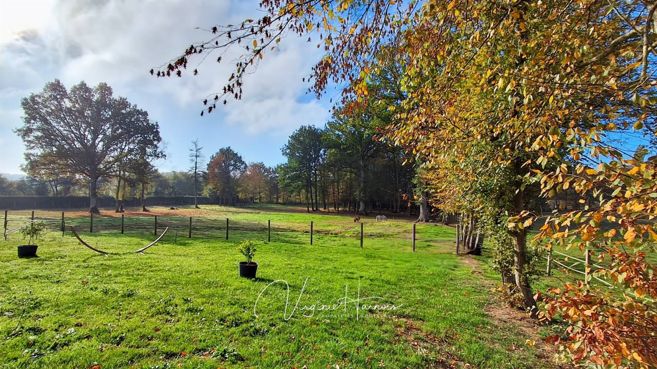 Equestrian property  Calvados