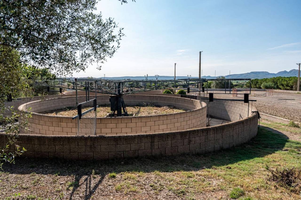 Riding school  Girona