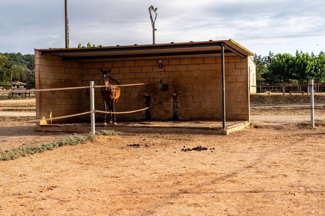 Riding school  Girona