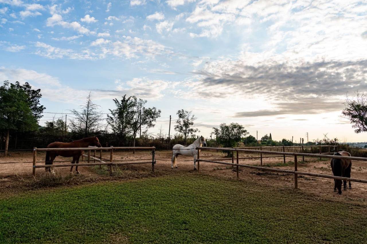 Riding school  Girona