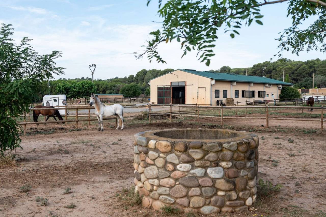 Riding school  Girona