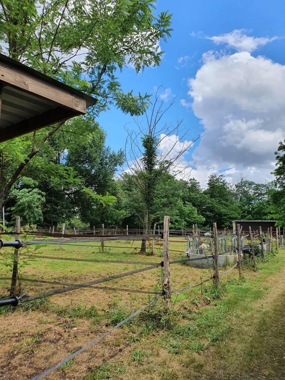 Equestrian property  Tarn-et-Taronne