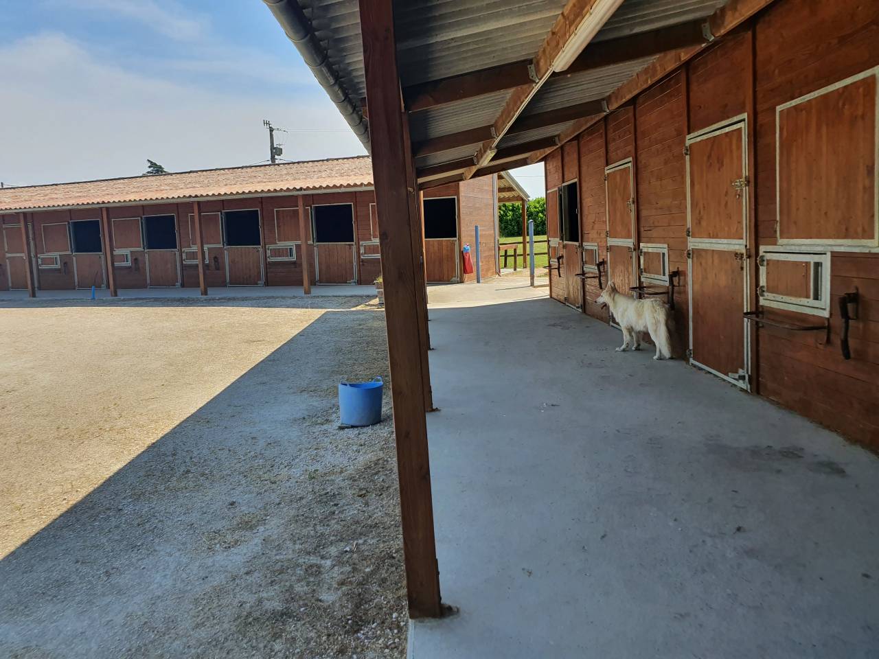Equestrian property  Tarn-et-Taronne
