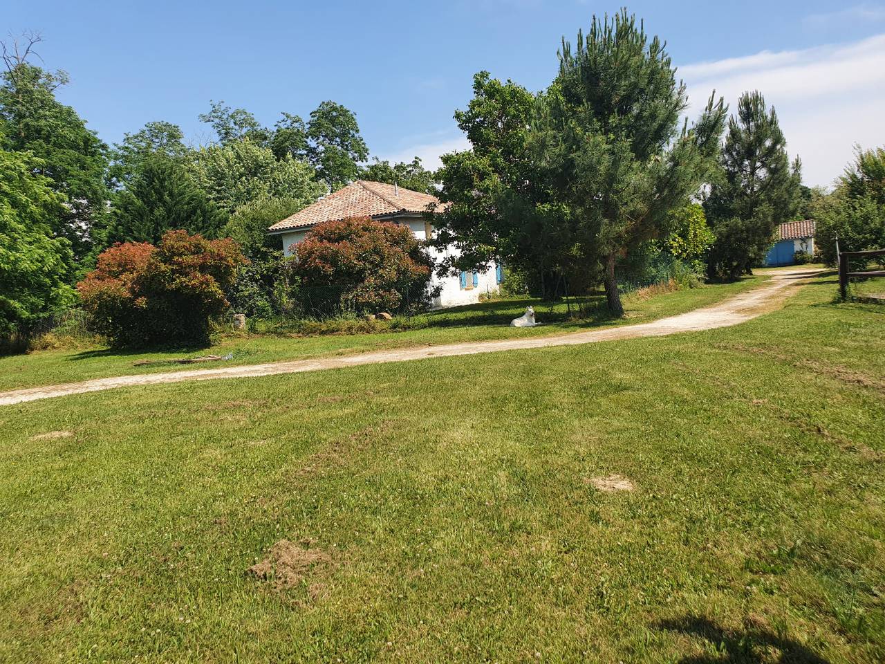 Equestrian property  Tarn-et-Taronne