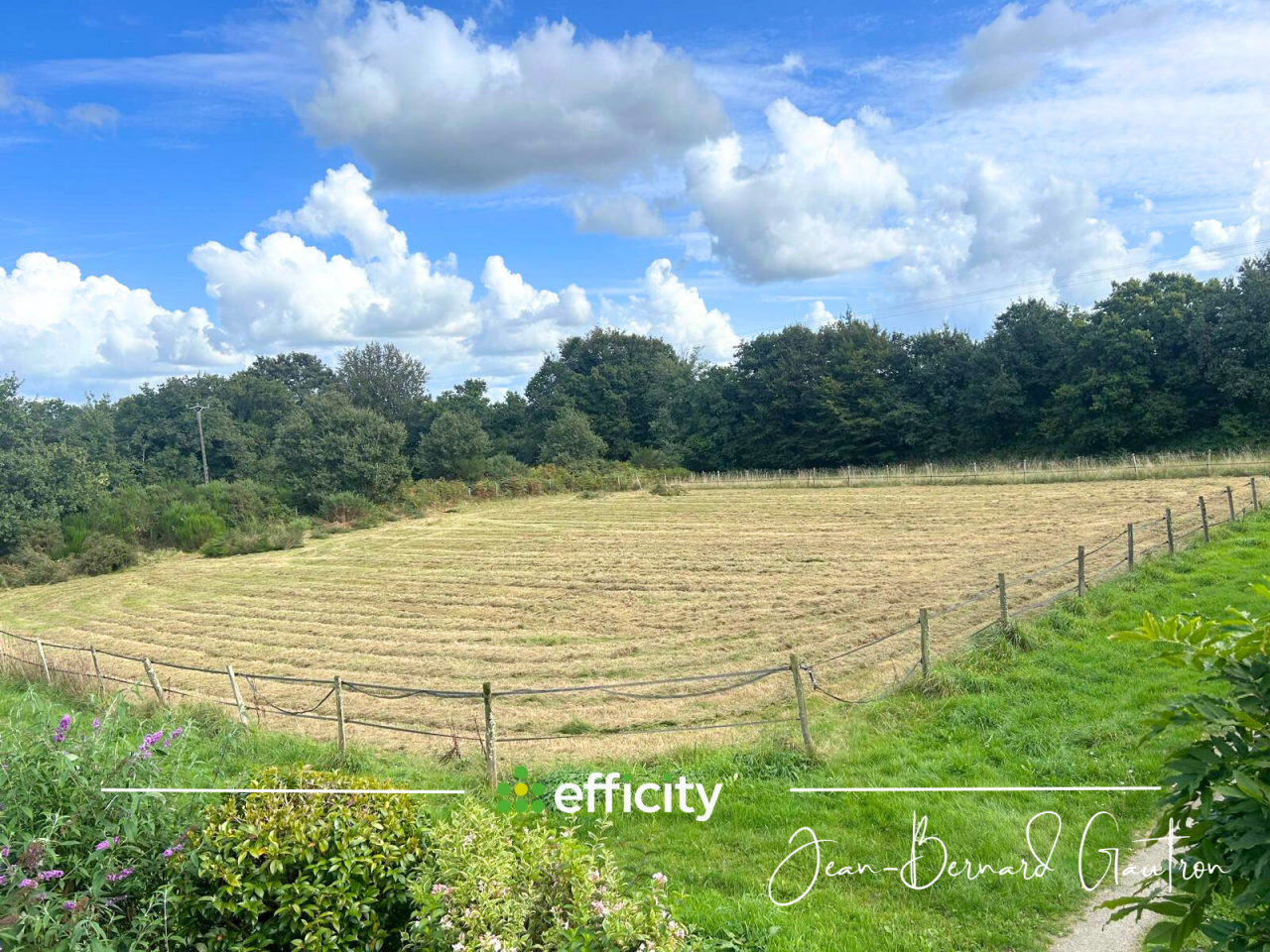 Equestrian property  C&ocirc;te d'Armor