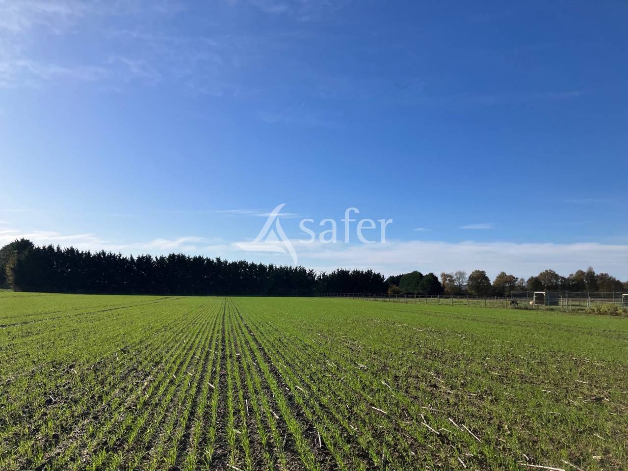 Other agricultural property  Indre-et-Loire
