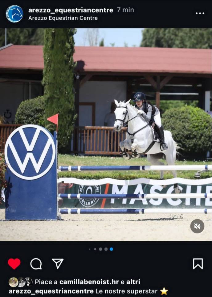 Mare Connemara For sale 2018 Grey