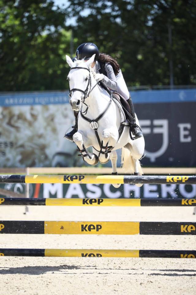 Mare Connemara For sale 2018 Grey