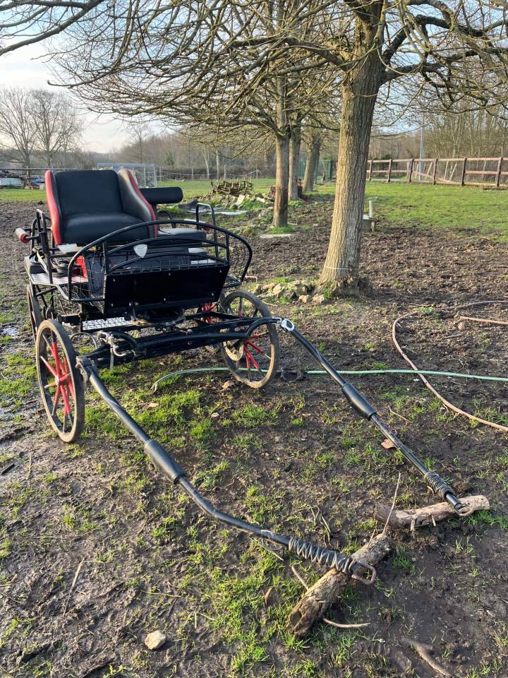 Carriage - Other carriage - Other brand -  