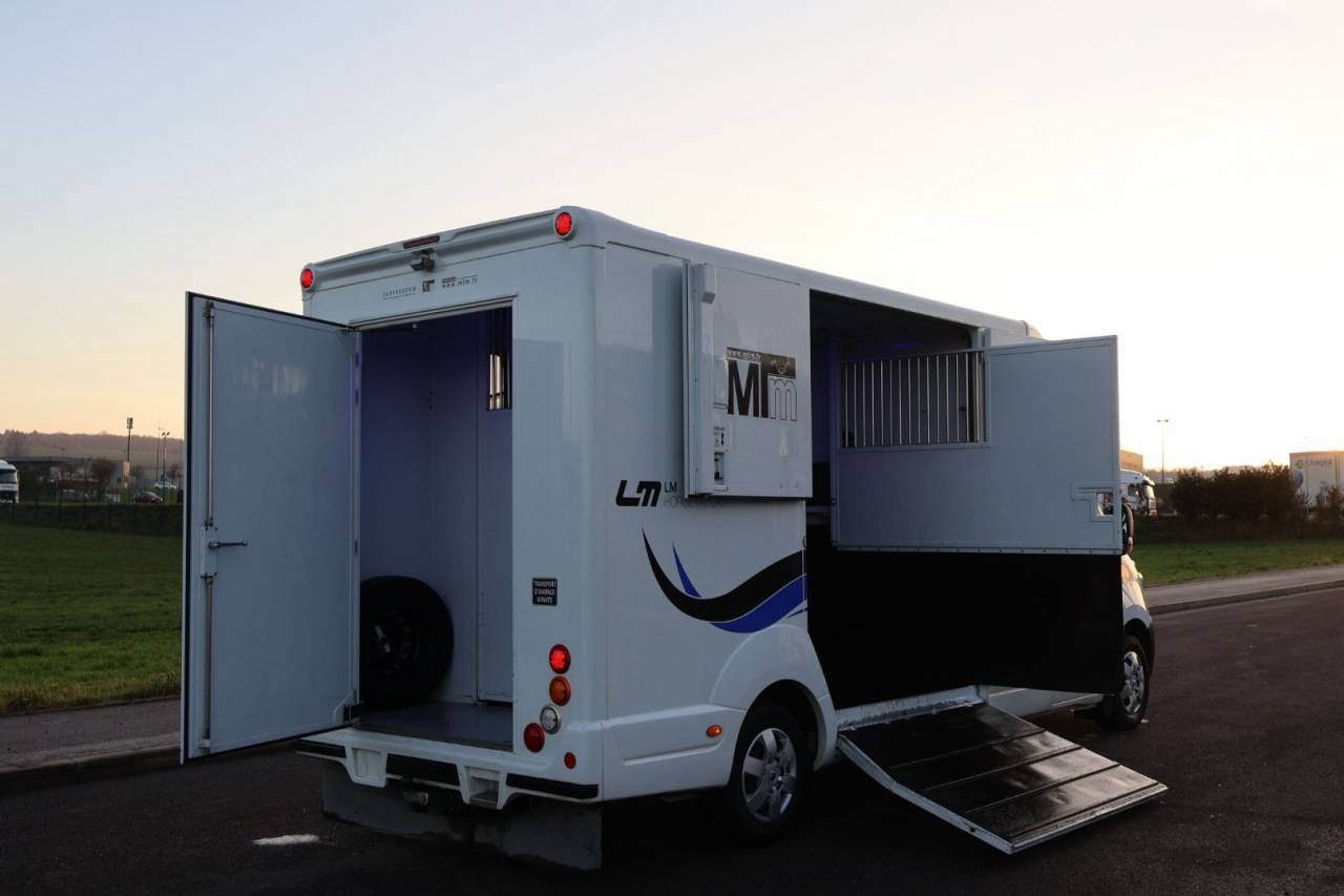 Horsebox HGV MTM FILOVAN MASTER  2018 Used