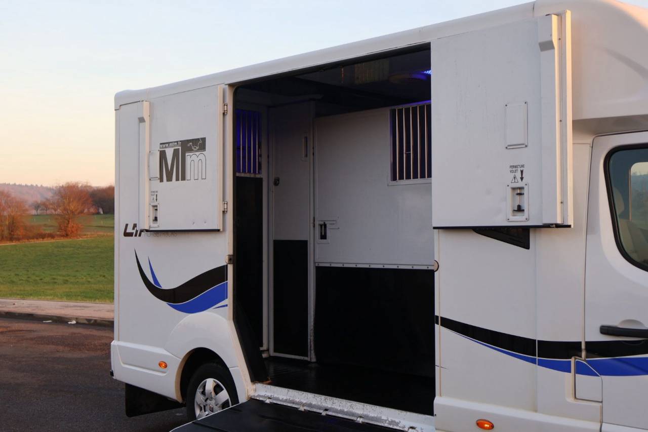 Horsebox HGV MTM FILOVAN MASTER  2018 Used