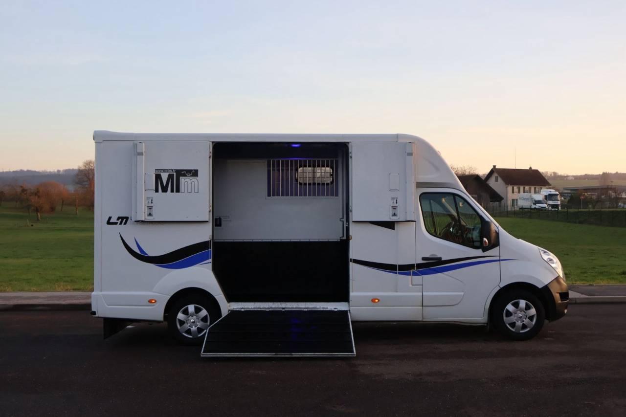 Horsebox HGV MTM FILOVAN MASTER  2018 Used