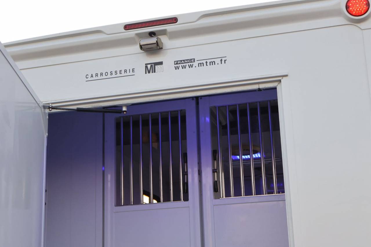 Horsebox HGV MTM FILOVAN MASTER  2018 Used