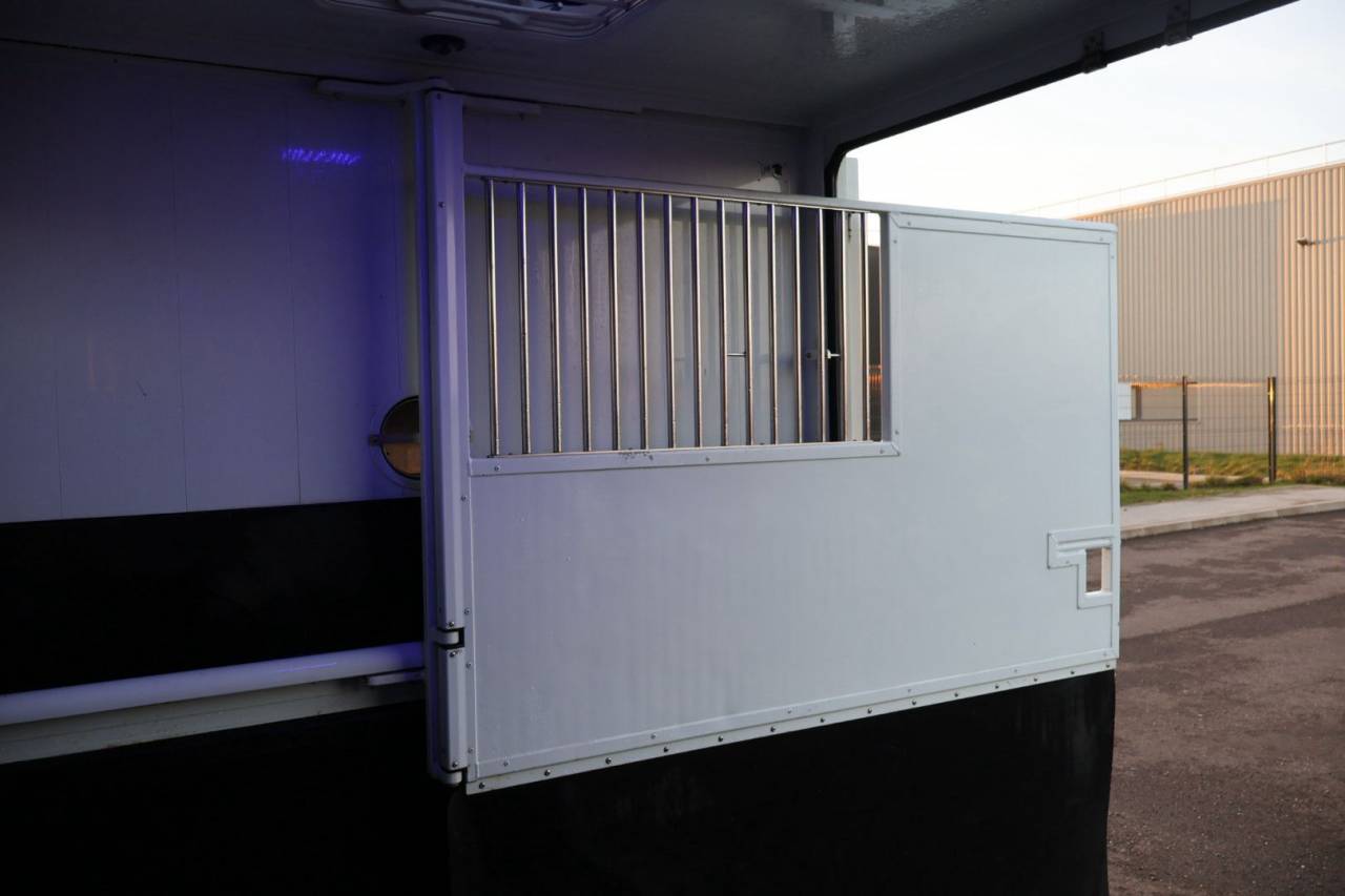 Horsebox HGV MTM FILOVAN MASTER  2018 Used