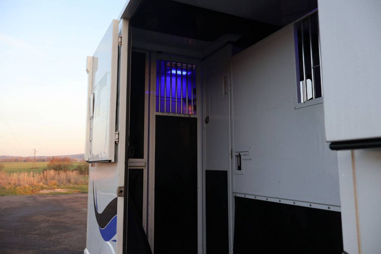 Horsebox HGV MTM FILOVAN MASTER  2018 Used