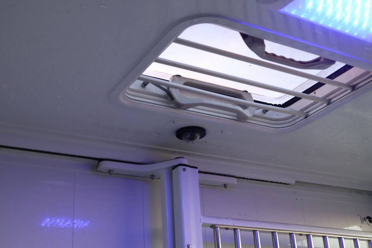 Horsebox HGV MTM FILOVAN MASTER  2018 Used